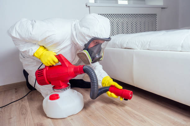 Best Bed Bug Extermination  in Makaha, HI