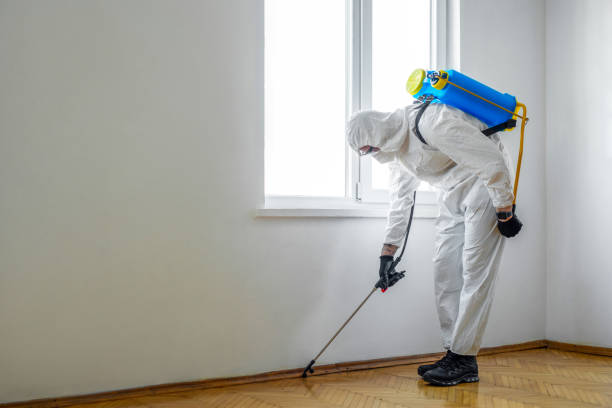 Best Exterminator Services  in Makaha, HI