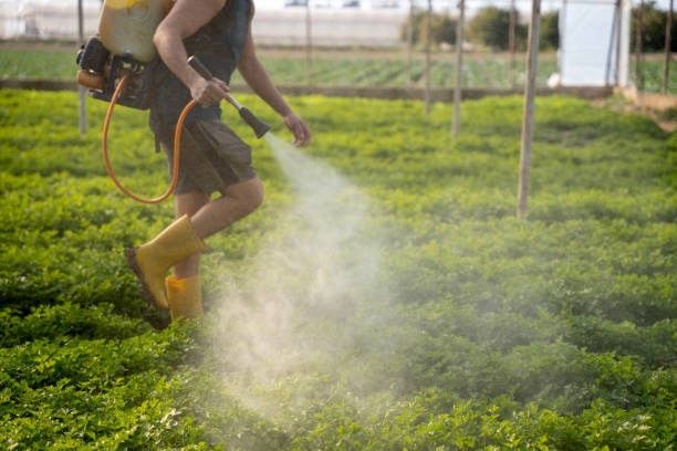 Reliable Makaha, HI Pest Control Solutions