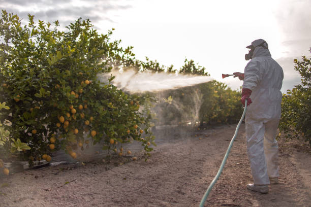 Best Commercial Pest Control Services  in Makaha, HI