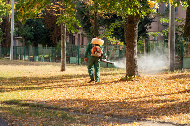 Best Flea Control Services  in Makaha, HI