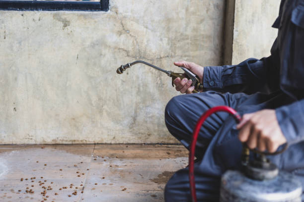Best Exterminator Services  in Makaha, HI