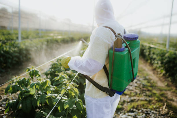 Best Pest Removal Services  in Makaha, HI